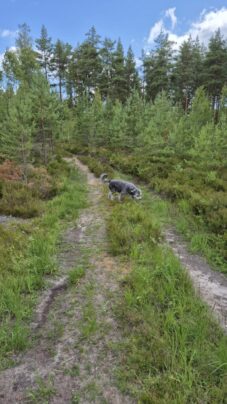 WhatsApp Image 2026-03-14 at 17.44.00